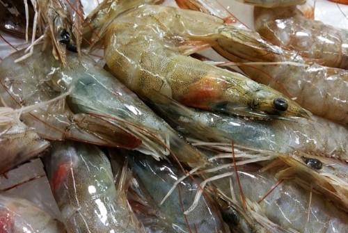 精致家常虾做法 不用油炸，鲜香爽辣省钱更安心